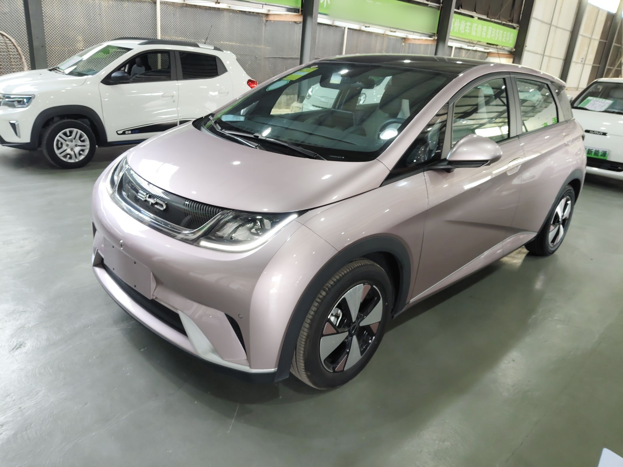 Parte inferior delantera