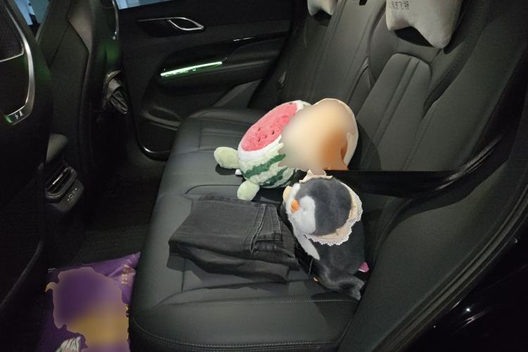 Used Hongqi HS3 2024 1.5T Shanwei Edition Left Rear Seat