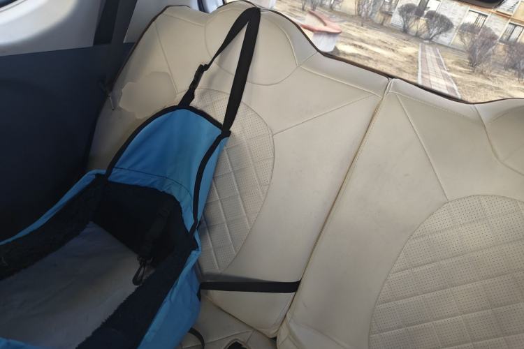 Used Bestune Pony 2025 222km Range Agile Horse Left Rear Seat