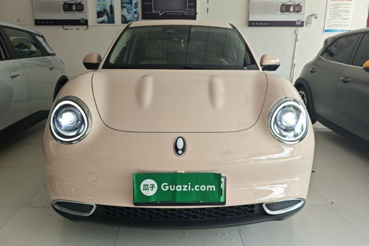 Used ORA Good Cat 2023 401 km Standard Range Luxury Version Lithium Iron Phosphate
