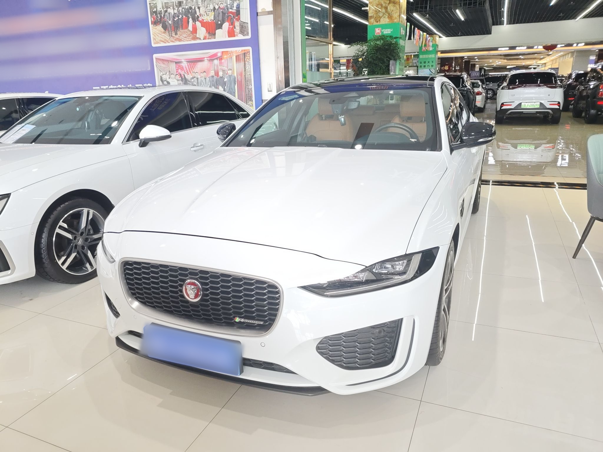 Parte inferior delantera