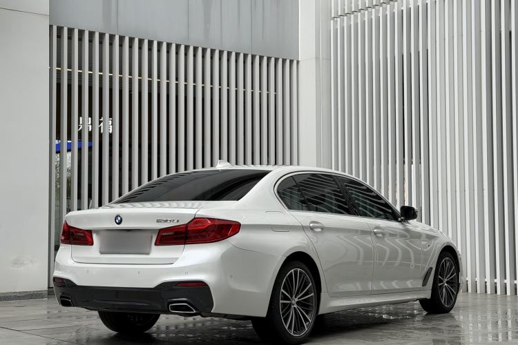 Used BMW 5 Series 2020 530Li Luxury Edition M Sport Package Exterior 5