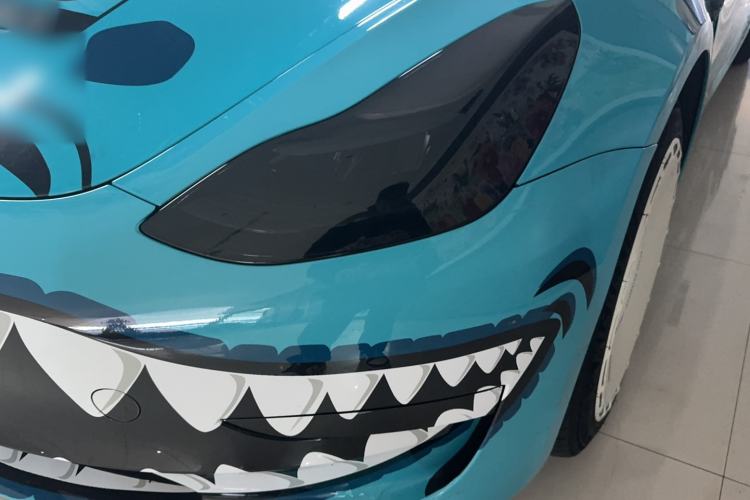 Used Tesla Model 3 2021 Revised Version Standard Range Rear-Wheel Drive Upgraded Edition 3D1