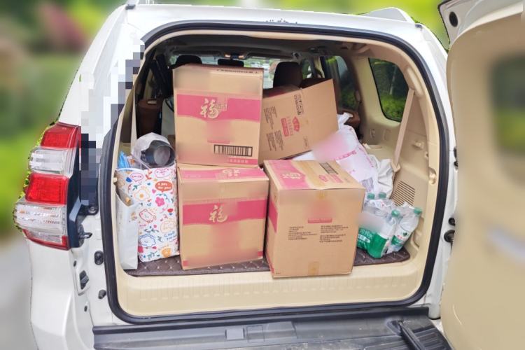 Used Toyota Prado  Trunk