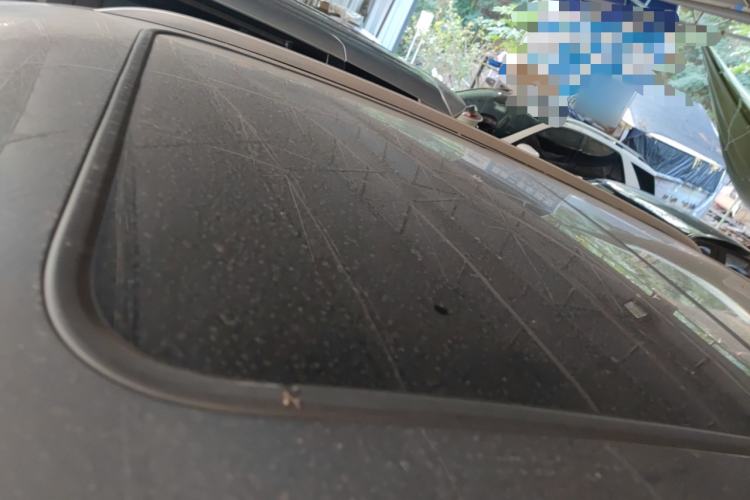 Used BYD Song PLUS New Energy 2023 Champion Edition DM-i 150KM Flagship PLUS
