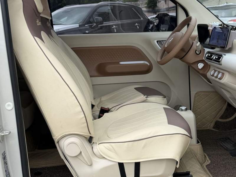 Used Wuling Hongguang MINIEV 2024 3rd Generation 215km Youth Edition — 35