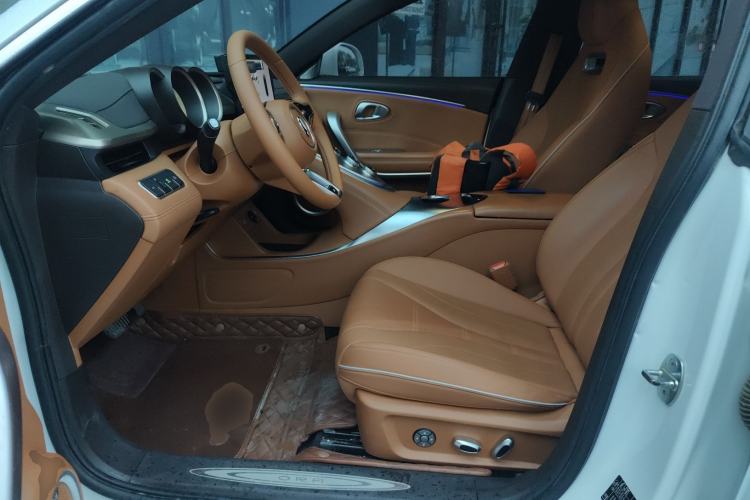 Used ORA Lightning Cat 2022 555 km Luxury Edition