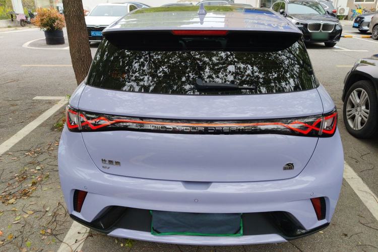 Used BYD Dolphin 2023 420 km Fashion Edition Rear