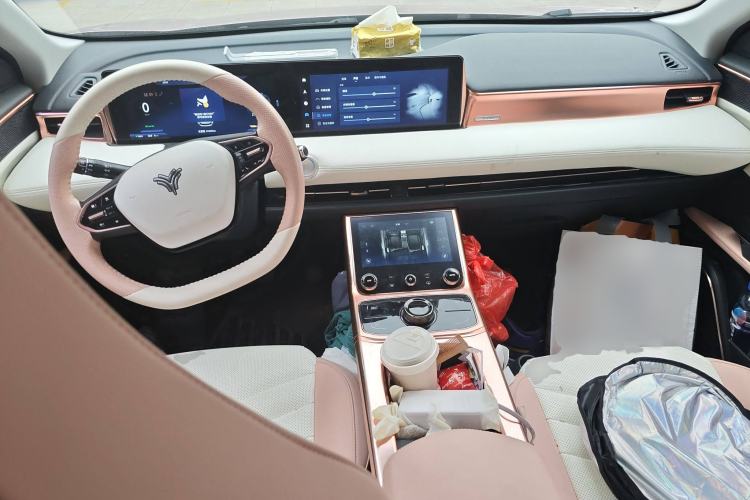 Used NETA U 2022 NETA U-Ⅱ 500 Lithium Iron Phosphate