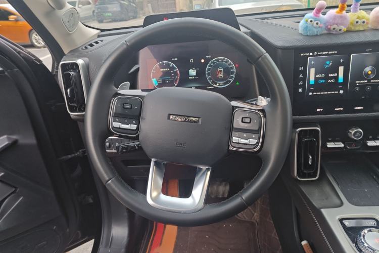 Used Haval DARGO 2024 2.0T DCT Chinese Rural Dog Edition
