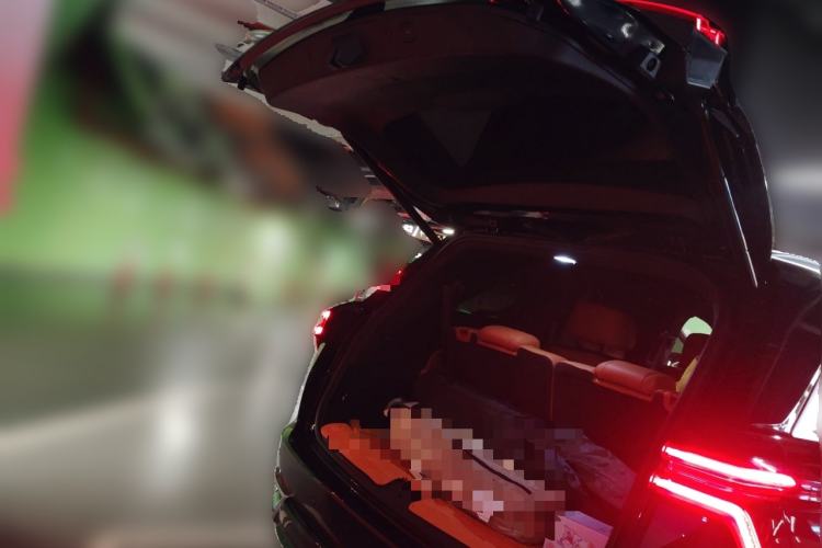 Used Wey Lanshan 2023 Four-Wheel Drive Ultra-Long Range Version