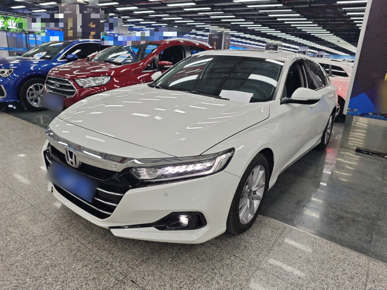 Parte inferior delantera