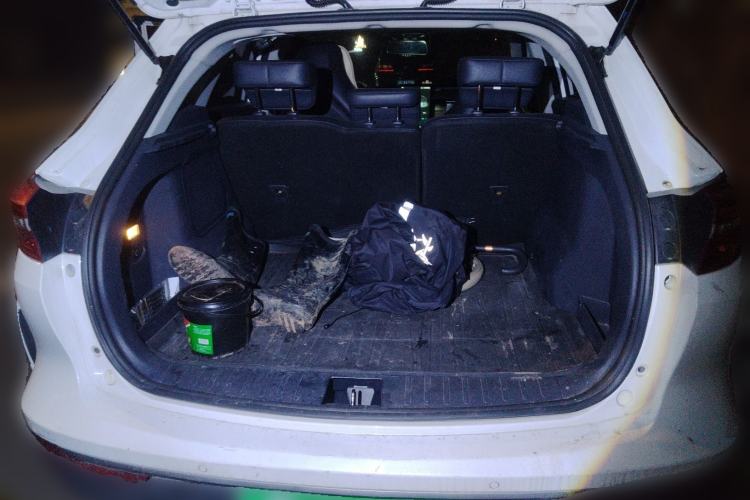 Used WM Motor EX5 2020 EX5 400 Jike Xing Edition
