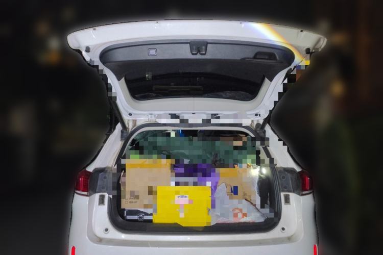 Used Wey VV6 2021 2.0T Two-Wheel Drive Smart Protection+