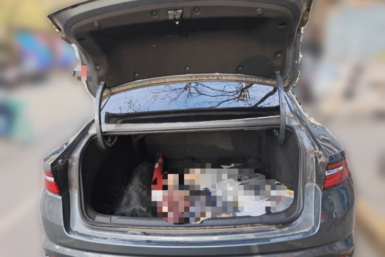 Used Geely Auto Preface 2023 2.0TD Luxury Version
