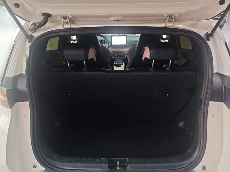 Used BYD Seagull 2023 Free Edition — 20
