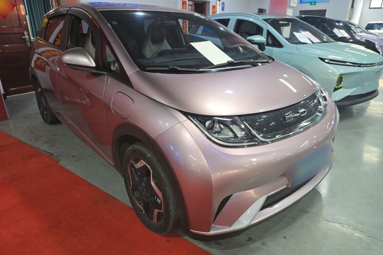 Used BYD Dolphin 2021 405 km Free Version