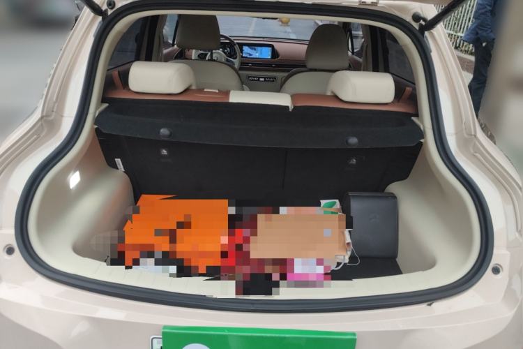 Used ORA Good Cat 2023 401 km Standard Range Premium Trim Ternary Lithium Trunk