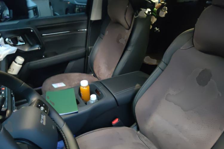 Used Haval H Dog 2026 Model 2.0T Trendy Wilderness Edition Left Front Seat