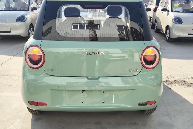 Used Qiyuan Lumin 2025 205 km Xiangqin Version