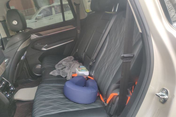 Used Tank 500 2023 3.0T Business Edition Realm-Setting 7-Seater Left Rear Seat