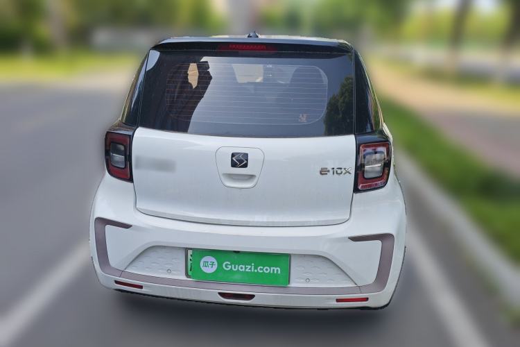 Used SOL E10X 2022 Flower Fairy Style Baby's Breath