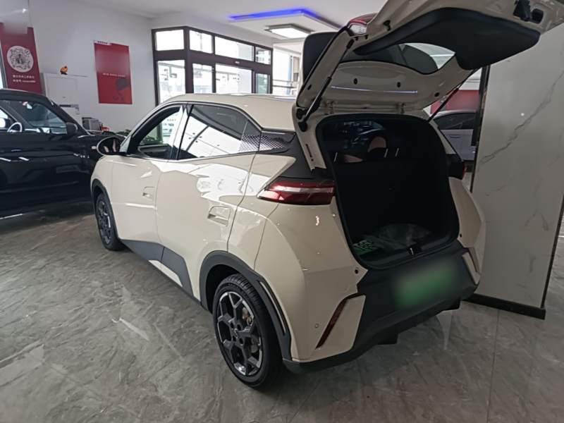 Used BYD Seagull 2025 305 km Free Version — 4