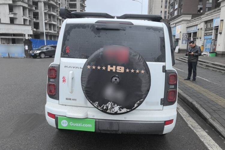 Used Haval H9 2024 2.0T Gasoline 4x4 Territory Edition Rear