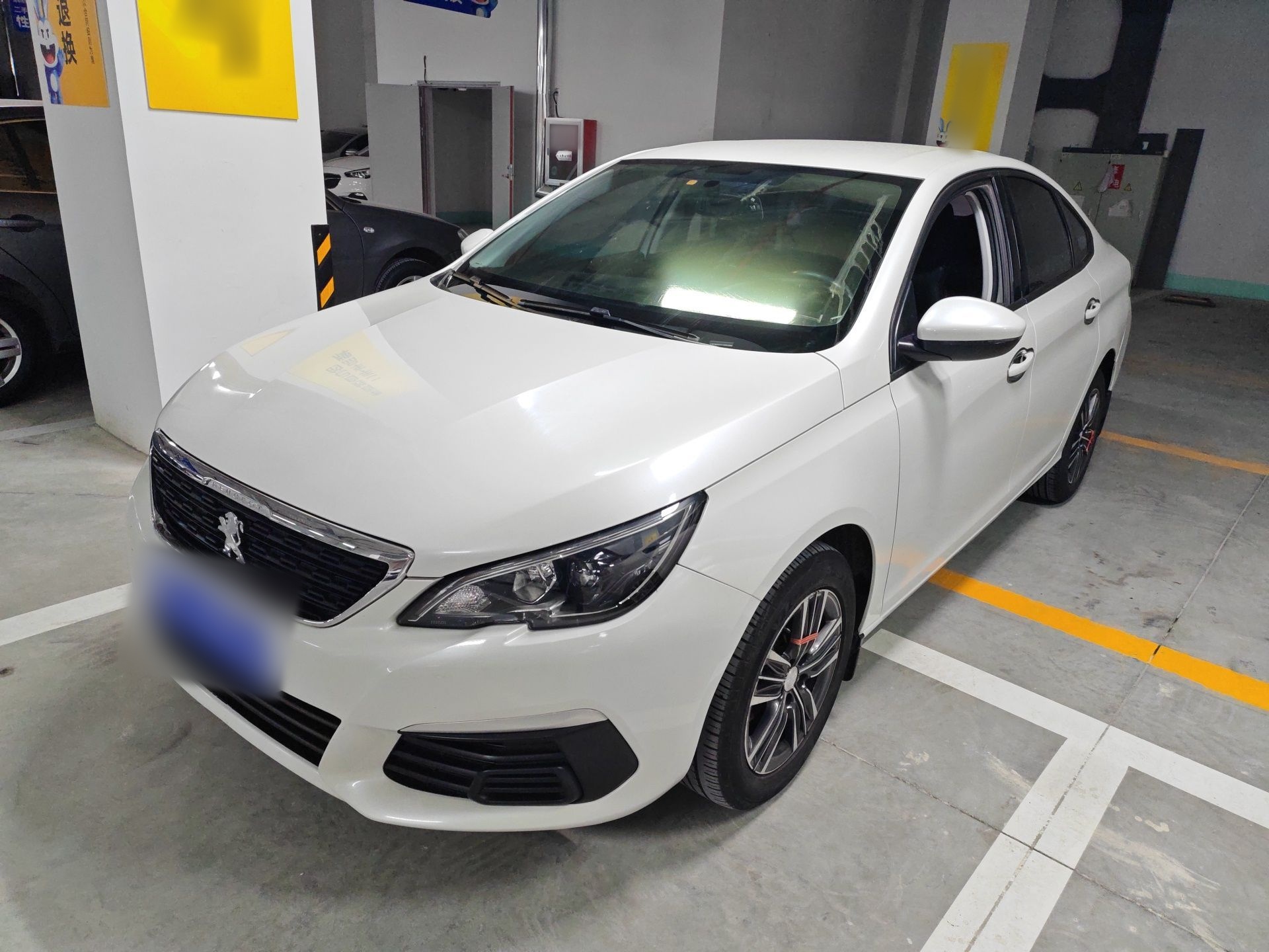 تحت مقدمة السيارة