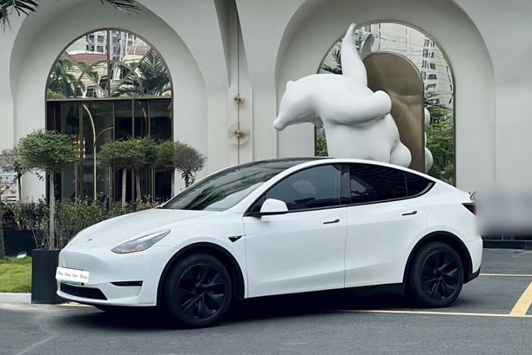 Used Tesla Model Y 2023 Long-Range All-Wheel-Drive Version
