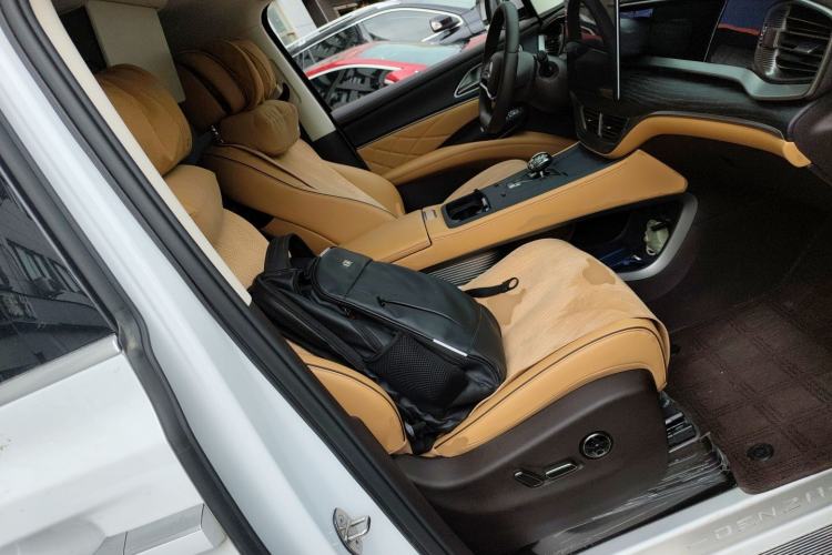 Used Denza D9 2024 DM-i 980 Four-Wheel Drive Prestige Model Right Front Seat