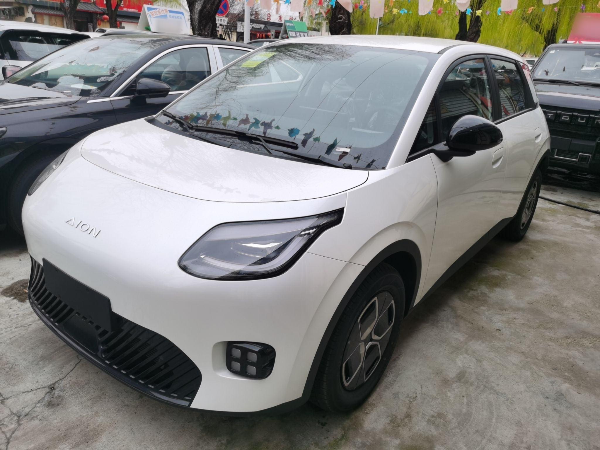 Parte inferior delantera