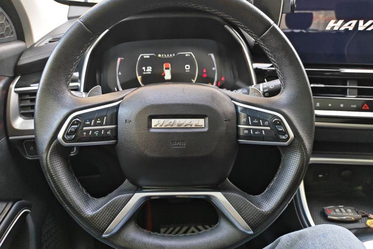 Used Haval H6 2021 National Trend Edition 1.5T Automatic Champion Version
