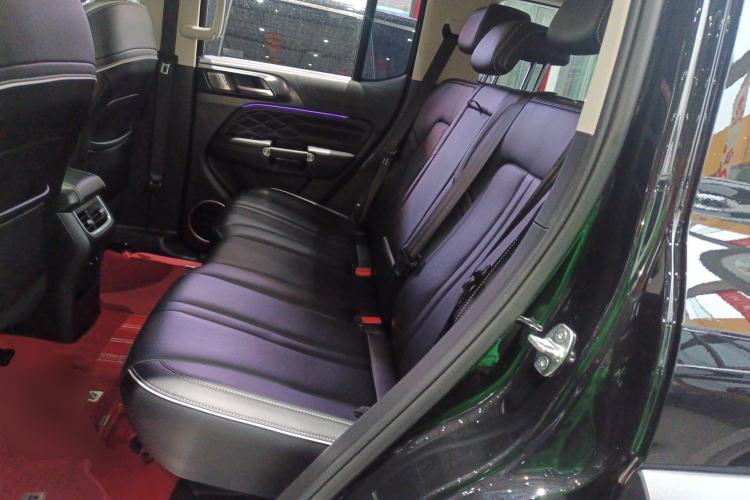 Used Tank 300 2024 2.0T Conqueror