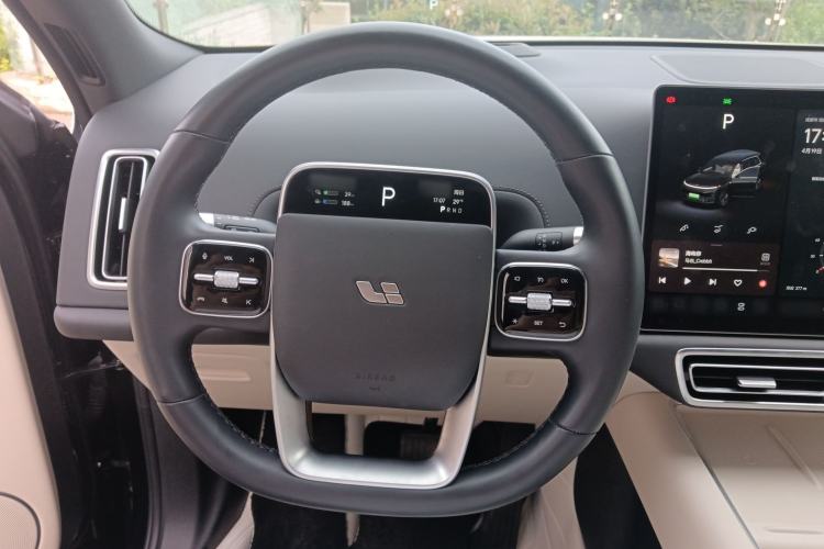 Used Li Auto L9 2023 Pro Model
