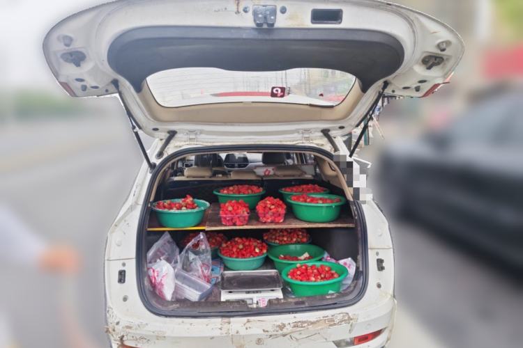 Used Baojun 310W 2017 1.5L Manual Fashion Model China V Trunk