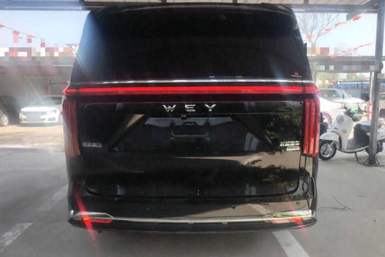 Used Wey Gaoshan 2023 Four-Wheel-Drive Executive Extended Version Rear