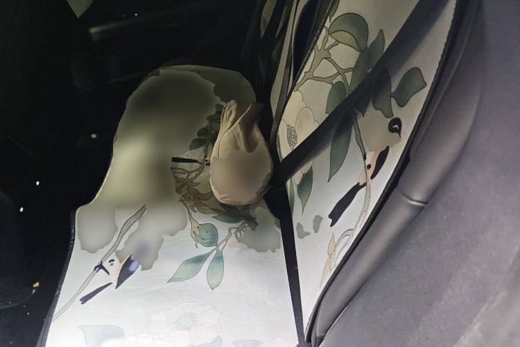 Used Jiyue 01 2024 Max