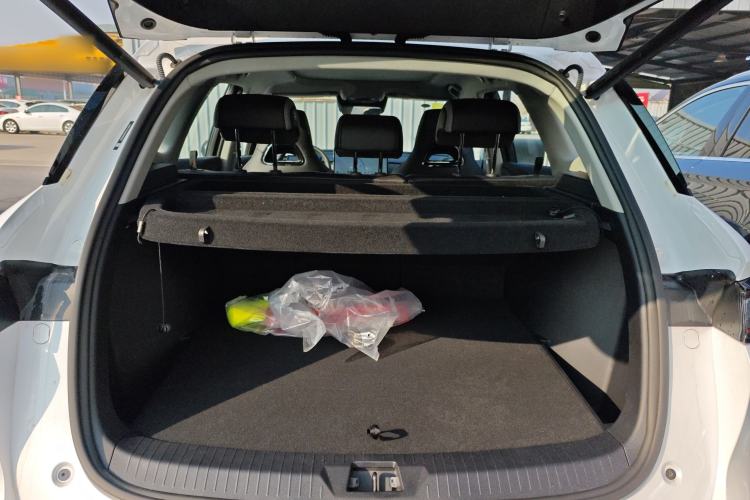 Used BYD Sealion 05 DM-i 2025 DM-i Smart Drive 115KM Flagship Model
