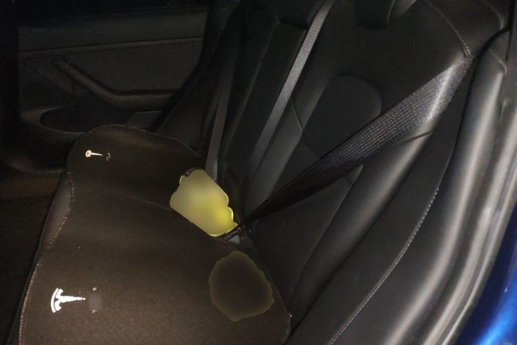 Used Tesla Model 3 2022 Rear-Wheel-Drive Version
