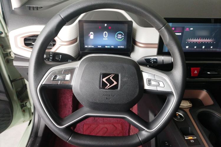 Used SOL E10X 2022 Flower Fairy Design Four-Leaf Clover
