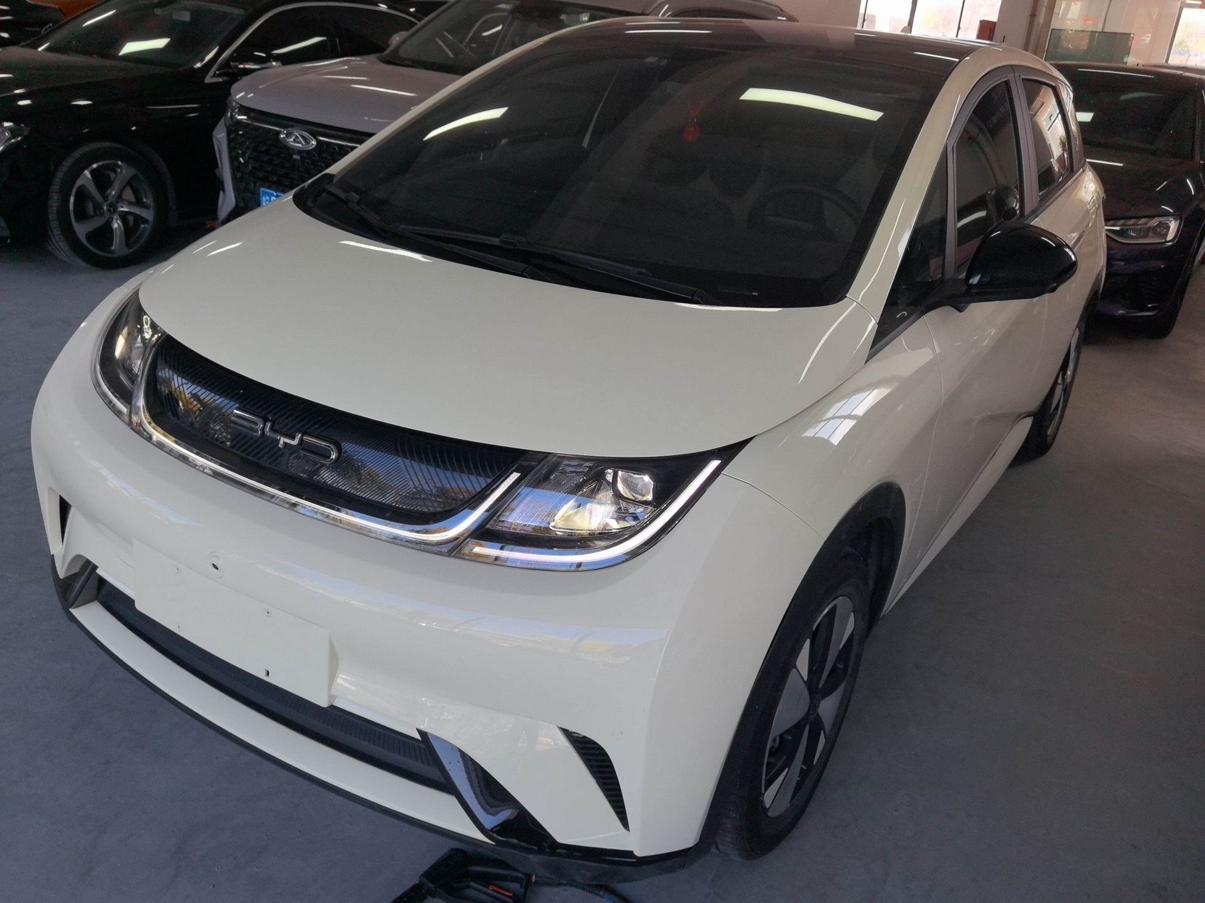 تحت مقدمة السيارة