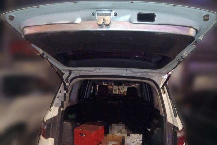 Used Oshan A600EV 2018 EV model