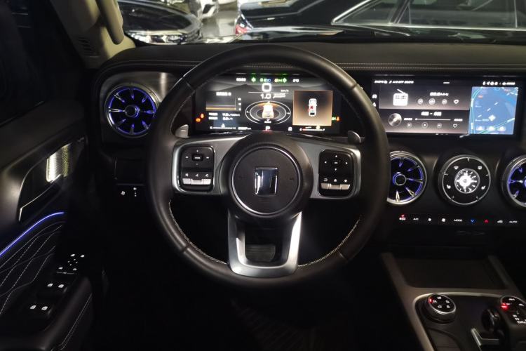 Used Tank 300 2024 2.0T Conqueror