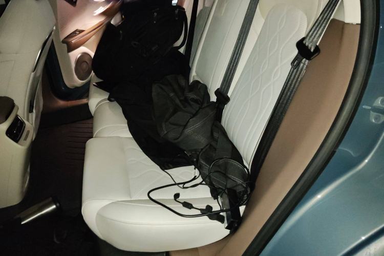 Used VOYAH FREE 2021 Four-Wheel Drive Standard Range-Extended Exclusive Luxury Package
