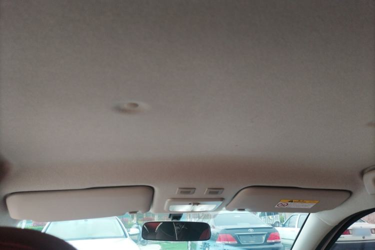 Used ORA Black Cat 2021 301km Cute Pet Edition Headliner