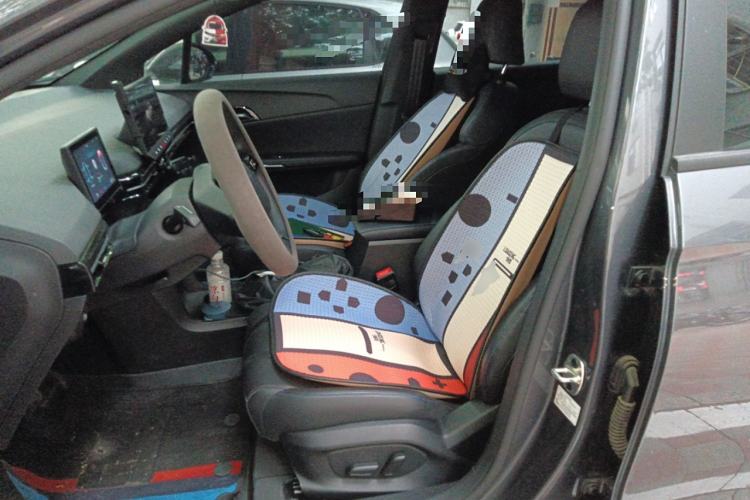 Used MG 4 EV 2023 415 km Range Sea-Faring Champion Edition
