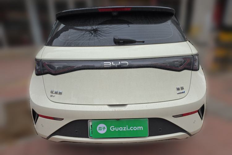 Used BYD Dolphin 2025 Smart Drive Version 420 km Freedom Edition
