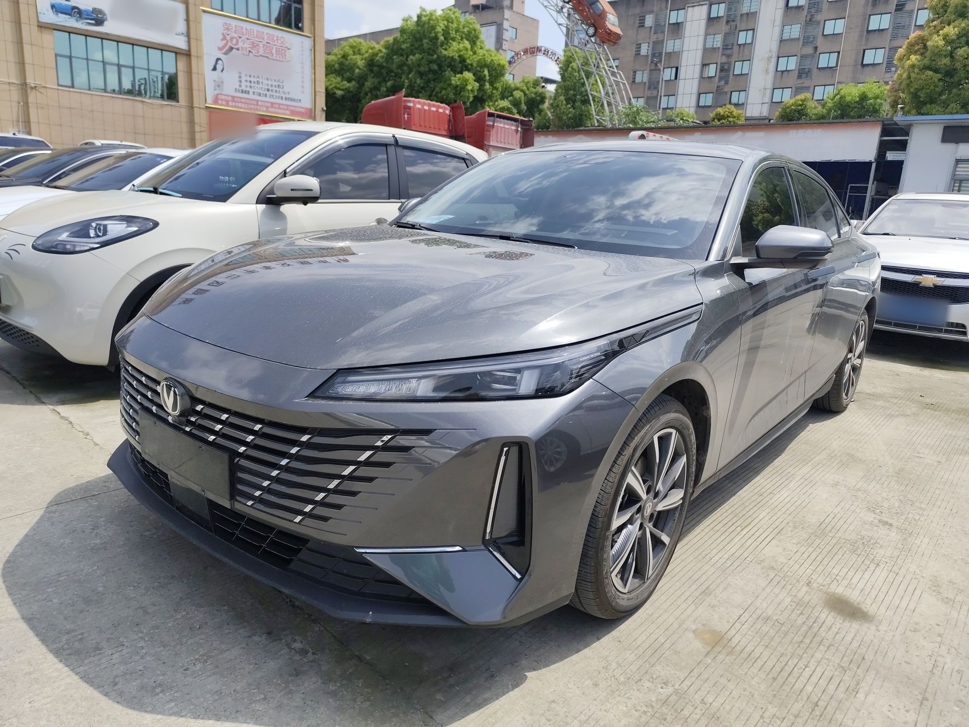 Parte inferior delantera