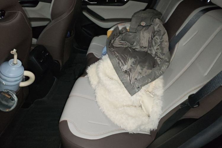 Used BYD Qin PLUS 2024 HONOR Edition DM-i 55KM Leading Model Left Rear Seat